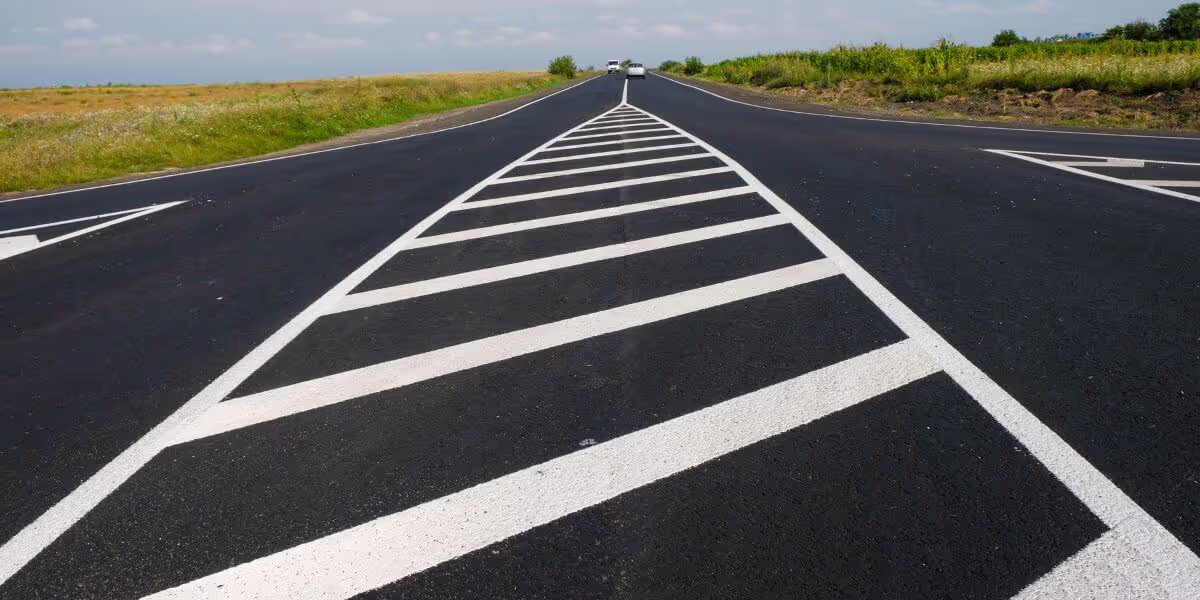 Zébra : tout savoir sur ce marquage routier